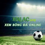 xoilacvnntvcoibd1