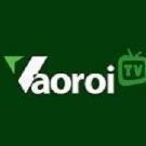 xemvaoroitv