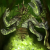 Timeshifter_Spirit.png
